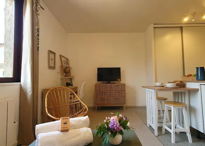 Chaleureux Proche Metro B Apartmán Pierre-Bénite